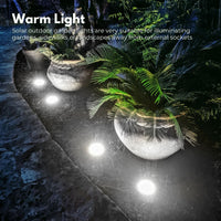 Thumbnail for NOVEDEN 12 Pack Waterproof Solar LED Light (White)