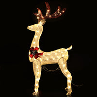 Thumbnail for 1.5M Christmas Lights Reindeer 100 LED Decorations Jingle Jollys