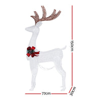 Thumbnail for 1.5M Christmas Lights Reindeer 100 LED Decorations Jingle Jollys