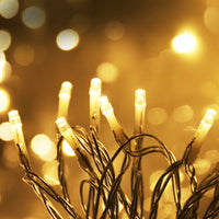 Thumbnail for 100M Christmas Lights String Fairy Light 500 LED Warm White Jingle Jollys